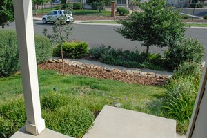 Xeriscape in Phases